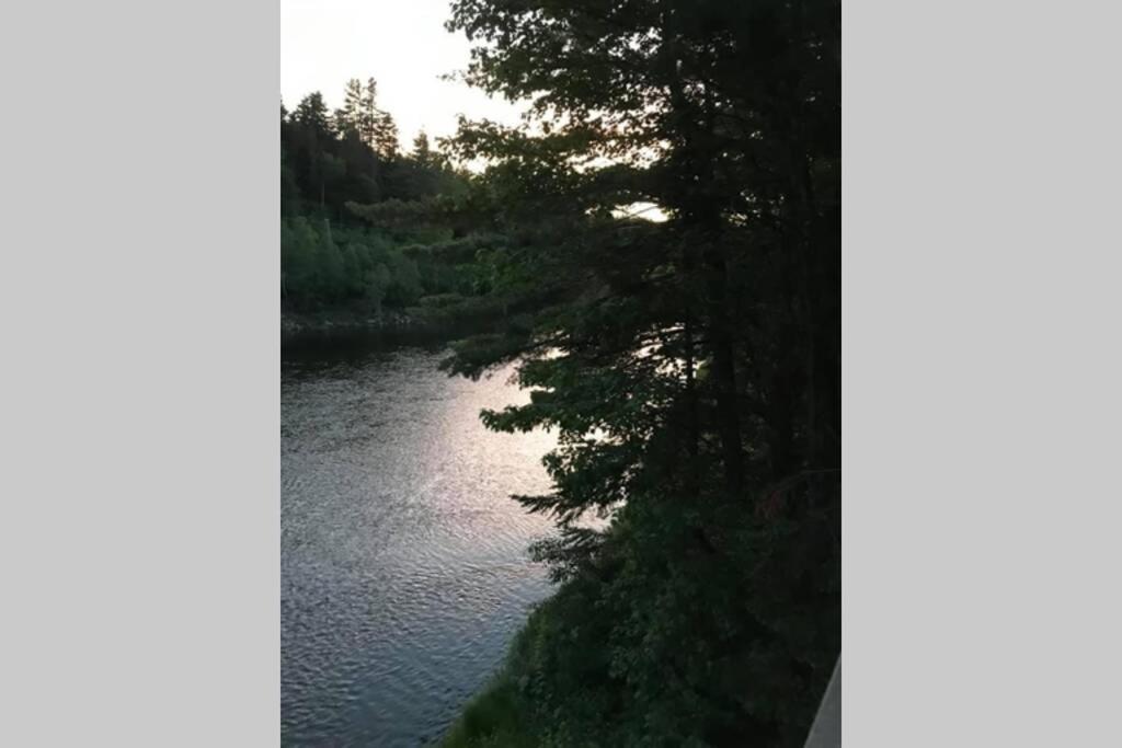 Riverfront Rustic Cottage Durham Bridge Exteriör bild